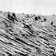 Illustration for article titled Tuguska Explosion: 100 Years Later, Still Unsolved